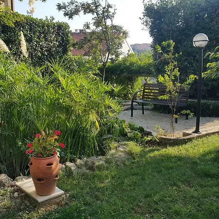 Apartament Elegance